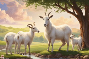 Mother Goat and Little Goats Moral Stories Quiz