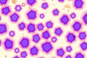 HISTO Epithelial Tissue
