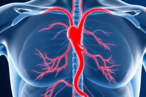 Blood Flow Control Mechanisms