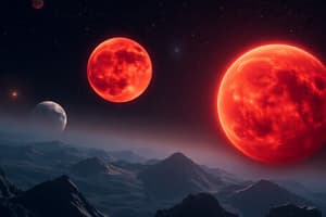 The Red Giant Sun and Rocky Worlds