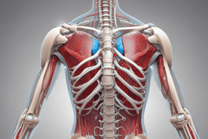 Anatomy LE 1: Clinical Correlation of the Upper Limbs ❌️❌️❌️