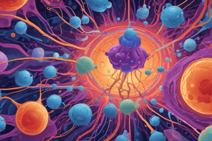 Mécanismes de l'apoptose dans la réponse immunitaire