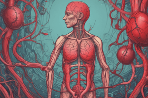 Blood Pressure Regulation in Upright Posture