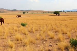 Derechos Ejidales y Avecindados