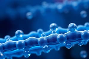 Biomolecules: Understanding Lipids