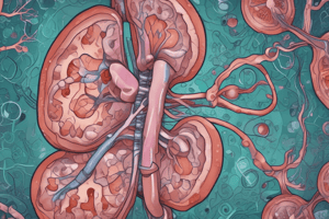 Nephritic Syndrome Diagnosis