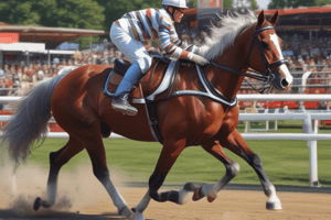 XVI – Driving Rules in Horse Shows