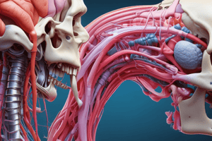 Biomechanics & Surgery: Tissue Mechanics III Cartilage