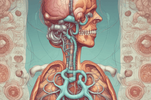 Respiratory System Introduction