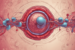 Thalassemias: Genetic Disorders of Hemoglobin