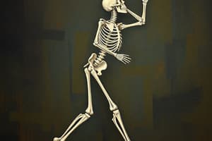 Skeletal System and Movement