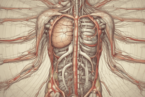 Lecture 5.1 - The autonomic nervous system