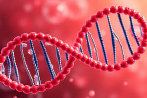 DNA Replication and Models