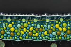 Biología Celular: Estructura de la Membrana