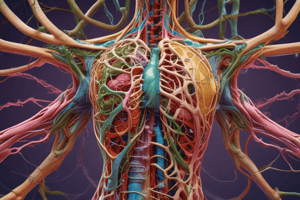 Anatomy of the Lymphatic and Immune Systems - Chapter 21.1