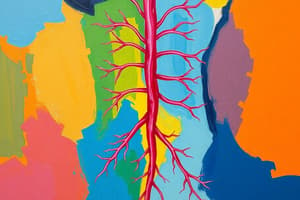 Exam 19 - Disorders Associated with Lymph System