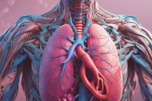 Respiratory System: Organs and Structures