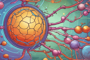 The Cell WK3 - Metabolic pathways and energy conversion