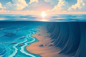 Rising Sea Levels in the Holocene Epoch