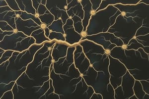 Cours 1 : Neurones et Système Nerveux