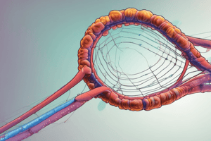 Genetic Control and Gene Expression Quiz