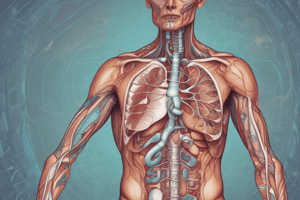 Anatomy. Respiratory System Qz 1