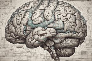 Visual Perception Pathways in Monkeys