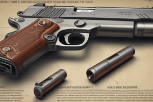 Firearm Definitions FSS 790