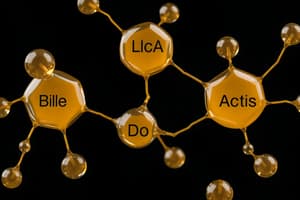 Bile and Its Components Quiz