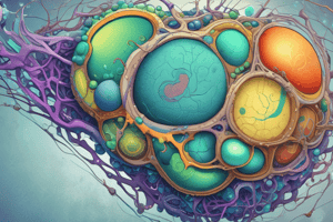 Physio Molecular and Cellular Bases