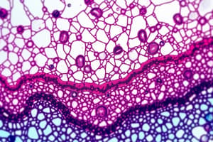 Histology Lecture 1: Micro Techniques