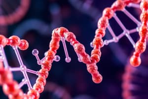 Nucleic Acids Overview