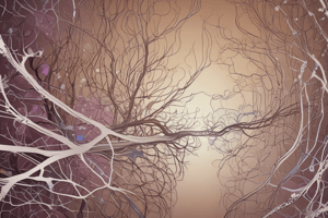 Physiology of the Nervous System: Central Nervous System