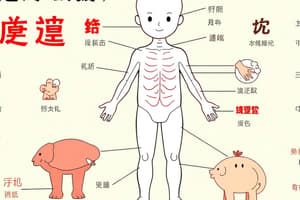 Body Parts in Mandarin