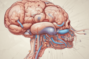 Endocrinology: Pituitary Gland Function