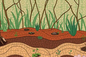 Soil Types: Sandy, Clay, Silty, Peaty, Loamy