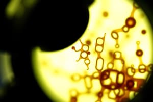 Biological Microscopy: Image Formation and Lenses