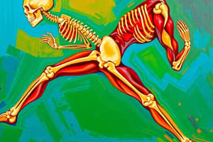 Human Movement and Musculoskeletal System