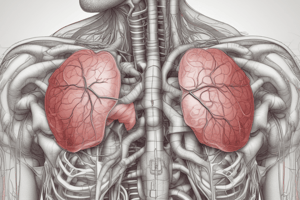 Respiratory Anatomy – Mechanics of Breathing1.1