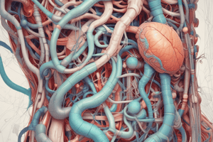 chapter 15 . quiz 4. Gastrointestinal System Nociception and Innervation