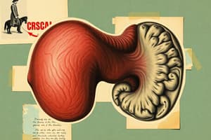 Benign Prostatic Hyperplasia (BPH)