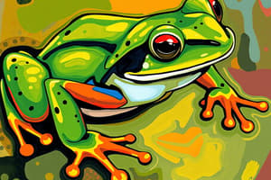 Frog Classification Flashcards