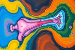 Bone Formation: Intramembranous vs Endochondral