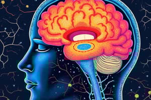 Somatosensory System: Receptors and Pathways