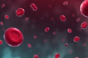 Understanding Anemia and Its Causes