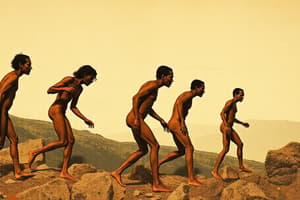 Early Humans and the Stone Age