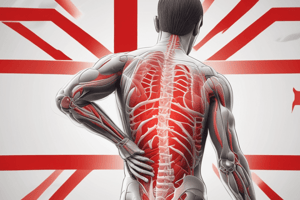 Back Pain Epidemiology and Types Quiz