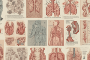 Upper respiratory tract infections