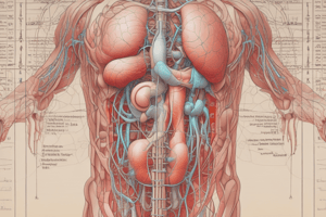 The Urinary System: Structure and Functions