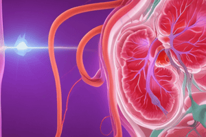 Kidney Function Assessment Quiz